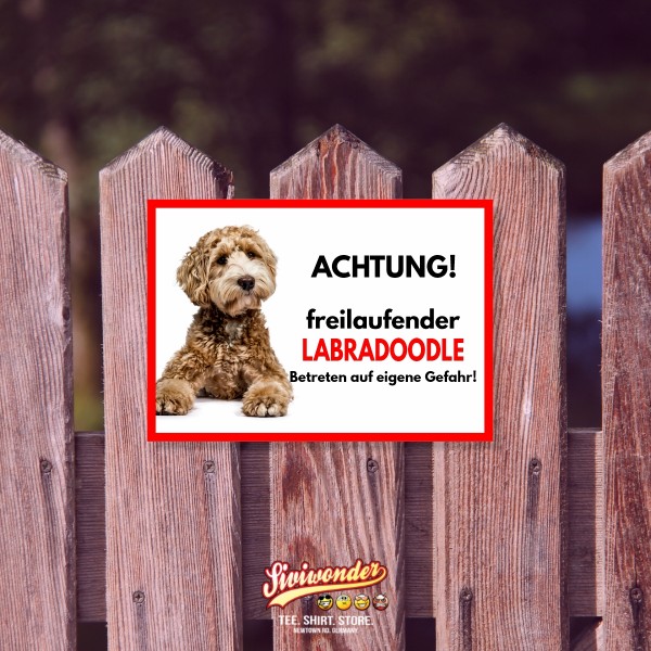 SchildFrei_Labradoodle2