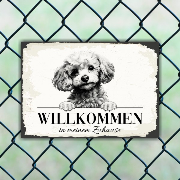 Hundeschild Willkommen Zuhause Zwergpudel Pudel Schild