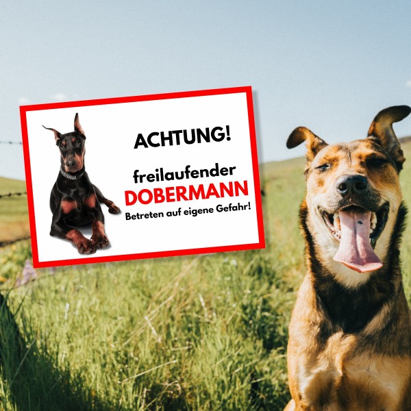 SchildFrei_DobermannKup1