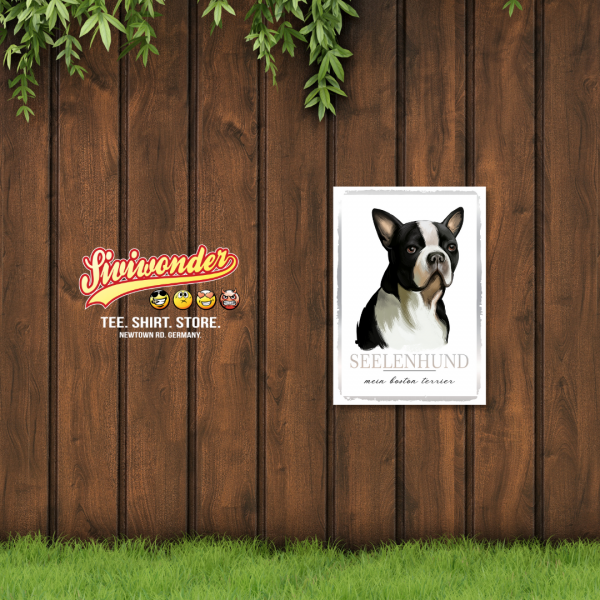 SeeleW_BostonTerrier2