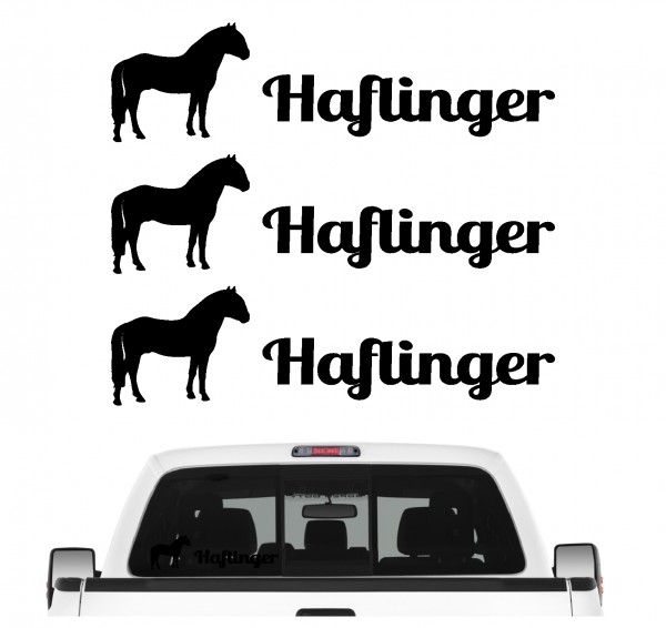 Haflinger Gebirgspferd Freizeit Dressur Ausdauer Springen Sport Landwirtschaft Aufkleber 3er Set Pferdeaufkleber Pferd reiten Auto Folie by SIVIWONDER