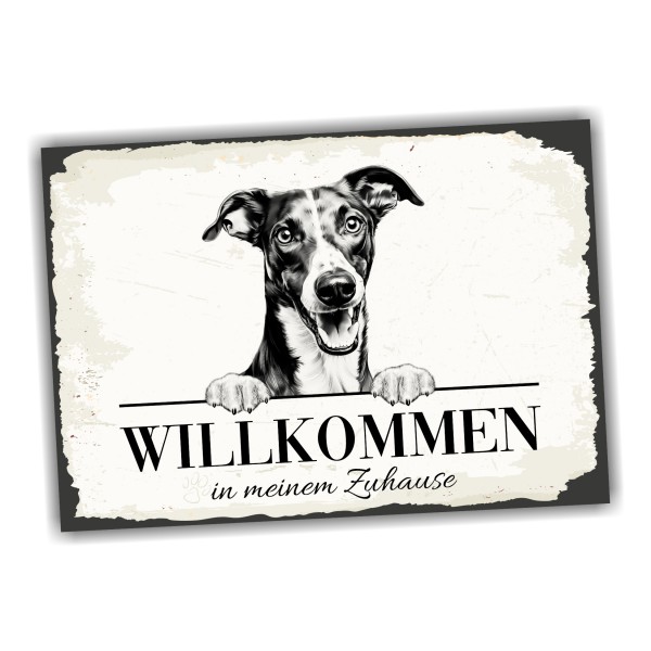 Hundeschild Willkommen Zuhause Greyhound Windhund Schild Achtung Spruch
