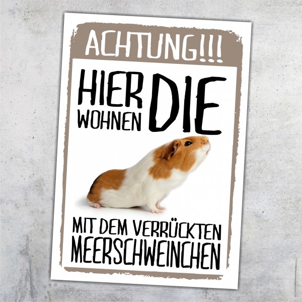 Hier wohnen die ... mit dem Verrückten Meerschweinchen Türschild Warnschild Spruch Schild happy Design by Siviwonder