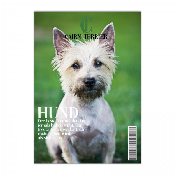 SchildMagazin_CairnTerrier1