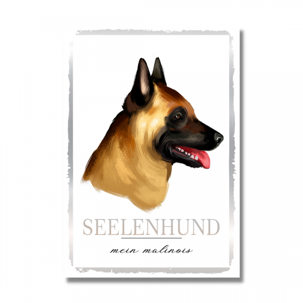 SeeleW_Malinois1