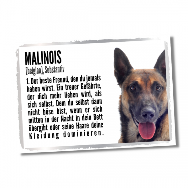 Duden_Malinois1