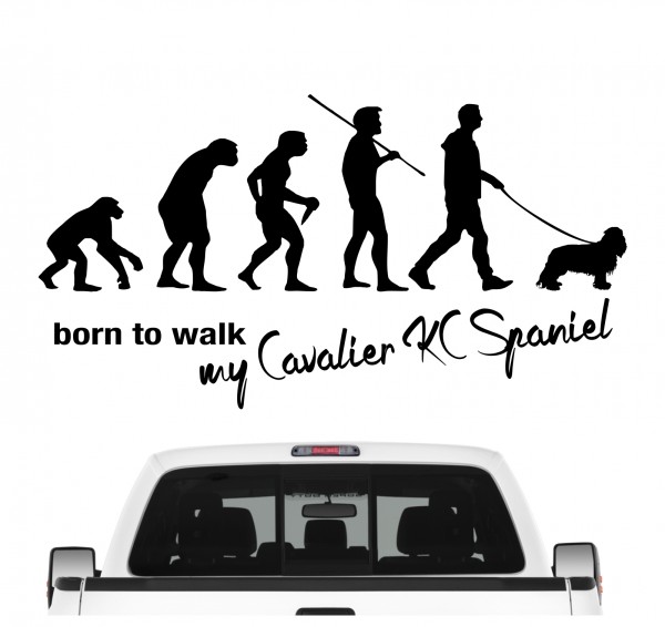 Cavalier King Charles Spaniel Cav Cavie Evolution Born to Walk Hunde Aufkleber Sticker Autoaufkleber Wandtattoo Tattoo