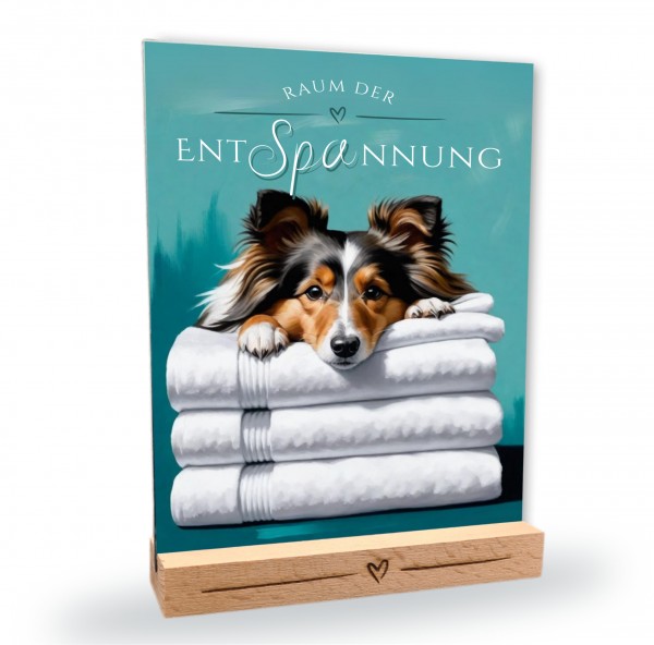 Hundeschild Deko Badezimmer Wellness Sheltie Shetland Sheepdog Schild Spruch
