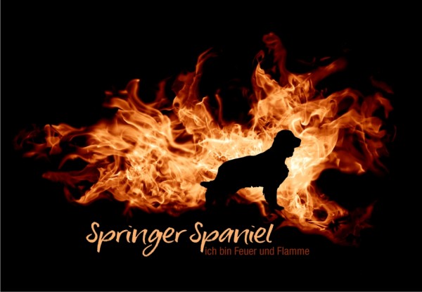 UTFlamme_SpringerSpanMo