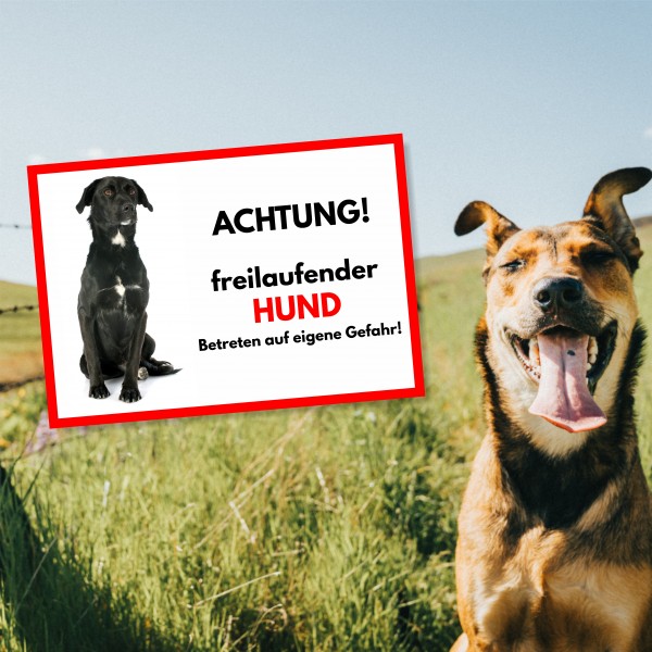 SchildFrei_Hund5_2