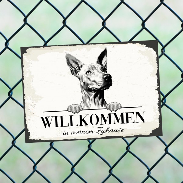 Hundeschild Willkommen Zuhause Etnahund Cirneco dell’Etna Schild