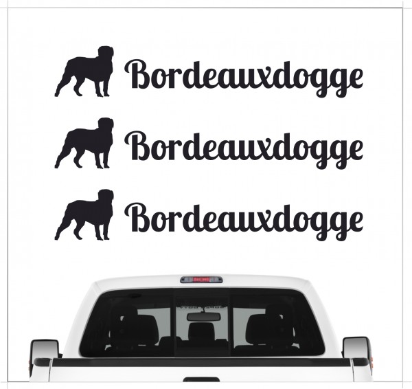 A_3er_BordeauxdoggeB