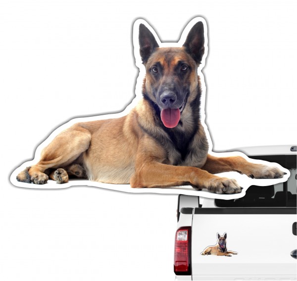 Malinois Belgian Mali Belgischer Schäferhund Berger Belge Dog Pfoten Digitaldruck Motiv by SIVIWONDER