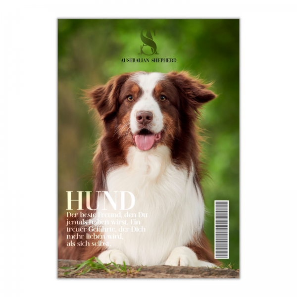 SchildMagazin_AussieB1