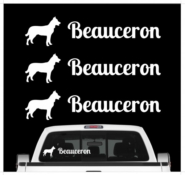 A_3er_BeauceronW