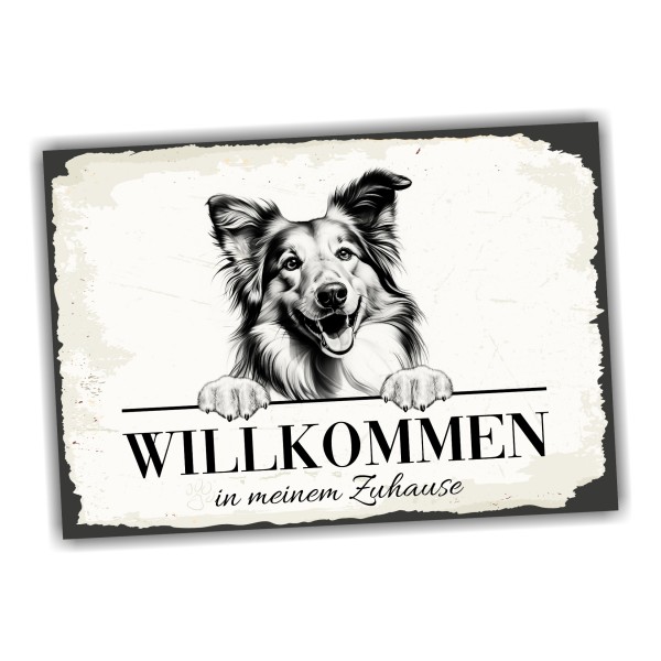 Hundeschild Willkommen Zuhause Collie Langhaarcollie Schild Achtung Spruch