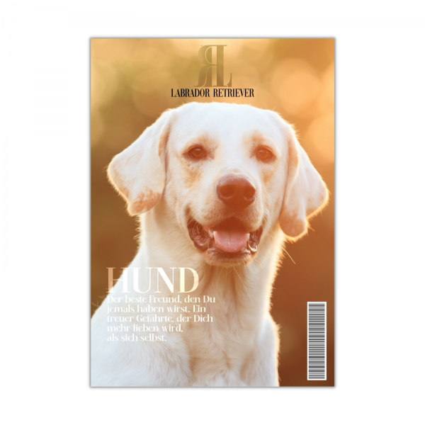 SchildMagazin_Labrador1