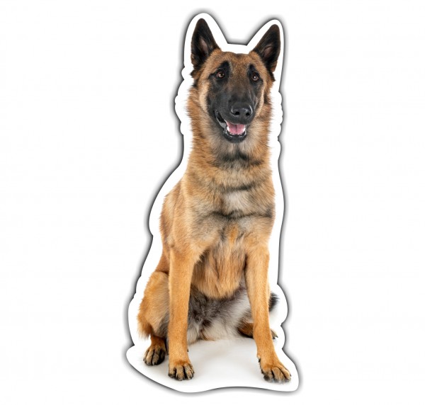 Malinois Belgian Mali Belgischer Schäferhund Berger Belge Dog Pfoten Digitaldruck Motiv by SIVIWONDER