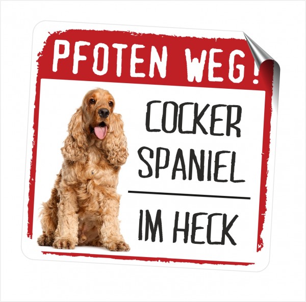 A_COCKER_SPANIEL_PFOTEN_WEG