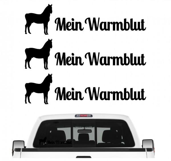 Mein Warmblut Sportpferd Pferdesport Freizeit Reiten Familienpferd Springreiten Dressur Aufkleber 3er Set Pferdeaufkleber Pferd reiten Auto Folie by SIVIWONDER