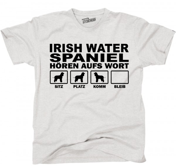 UTHAWIrishWaterSpanAS