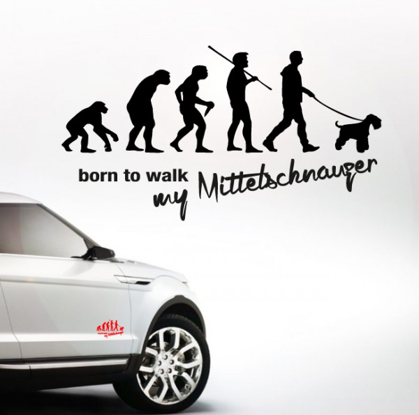 AEVOMITTELSCHNAUZ_Index