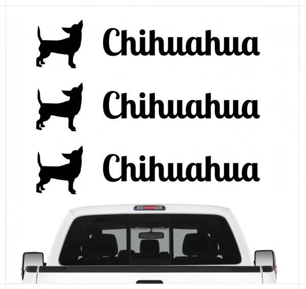 A_3er_ChihuahuaB