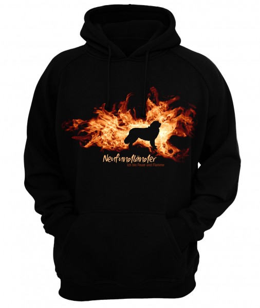 SFlamme_Neufundlaender