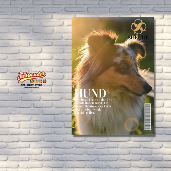SchildMagazin_Sheltie3