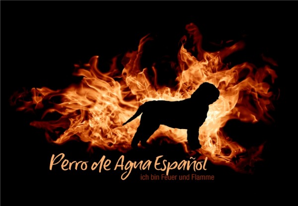 UTFlamme_PerAguaEspaMo