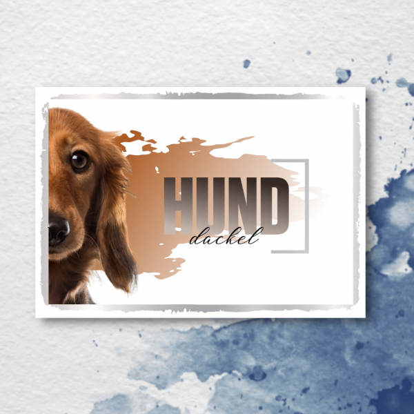 SeeleD_Dackel2_3