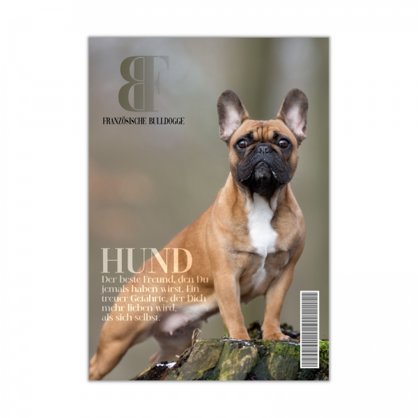 SchildMagazin_FrenchieSt1