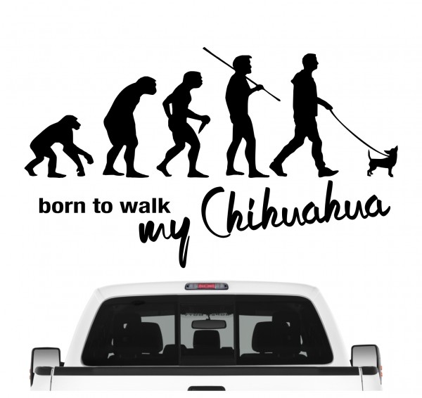Chihuahua Chi Chis Schiwawa Evolution Born to Walk Hunde Aufkleber Sticker Autoaufkleber Wandtattoo Tattoo