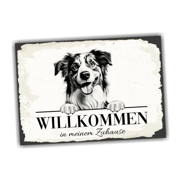 Hundeschild Willkommen Zuhause Mini Australian Shepherd Schild Achtung Spruch