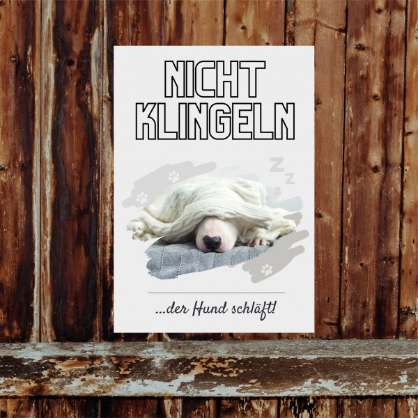 Bullterrier Bully Bull Terrier Gladiator Hund nicht klingeln schlafen Schild Dog Hund Spruch Türschild Hundeschild Wall Art Gefährte
