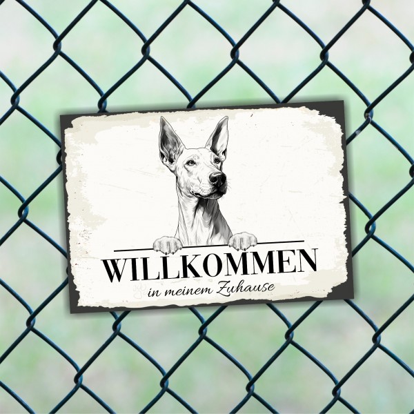 Hundeschild Willkommen Zuhause Pharaonenhund Pharaoh Schild Achtung Spruch