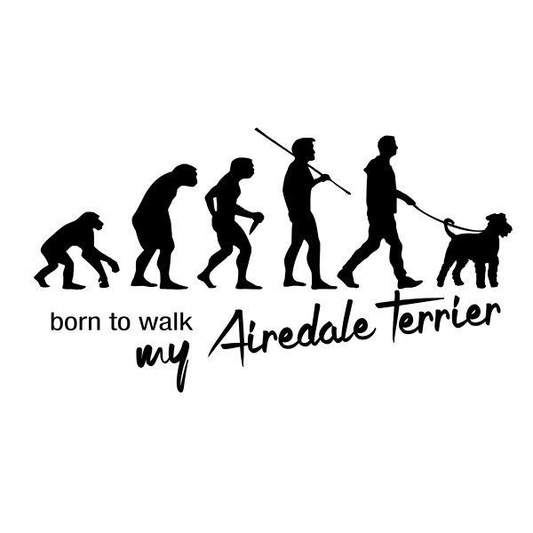 AEvo_AiredaleB