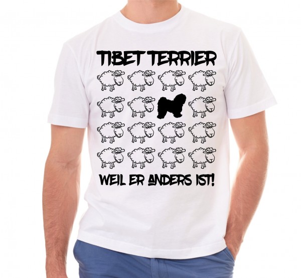 T_Sheep_TibetTerrierW