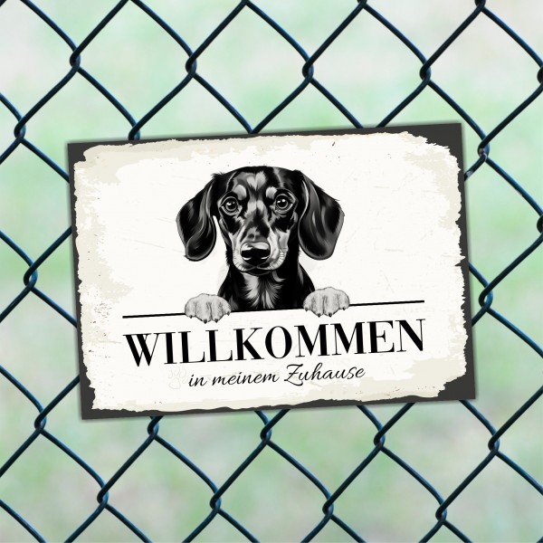 SchildWillk_Dackel5b