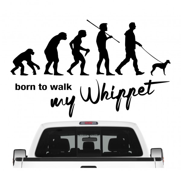 Whippet Windhund Snap dog Evolution Born to Walk Hunde Aufkleber Sticker Autoaufkleber Wandtattoo Tattoo