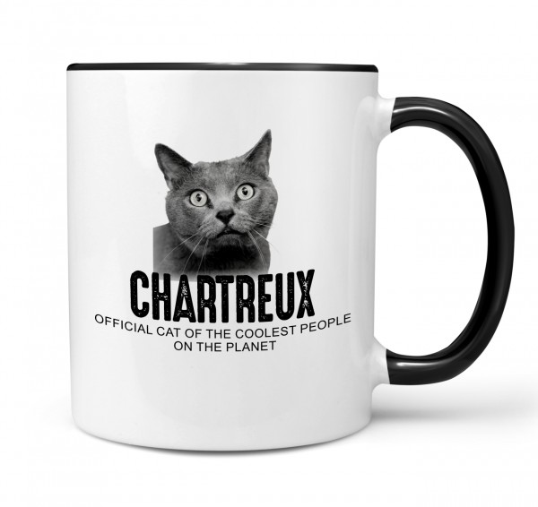 Chartreux Kartäuser Katze Official Cat cool Tasse Kaffee lustig Kaffeebecher Design