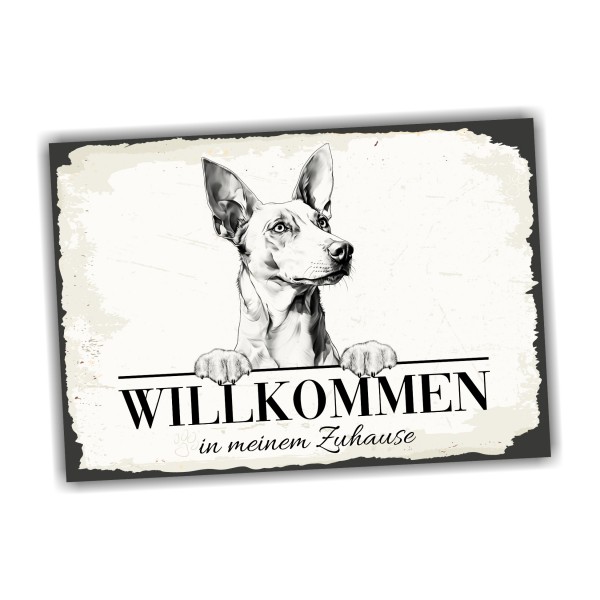 Hundeschild Willkommen Zuhause Podenco Ibicenco Schild Achtung Spruch