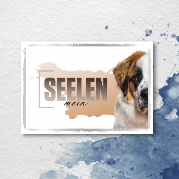 SeeleD_Bernhardiner2