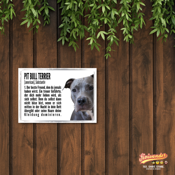 Duden_PitBull2