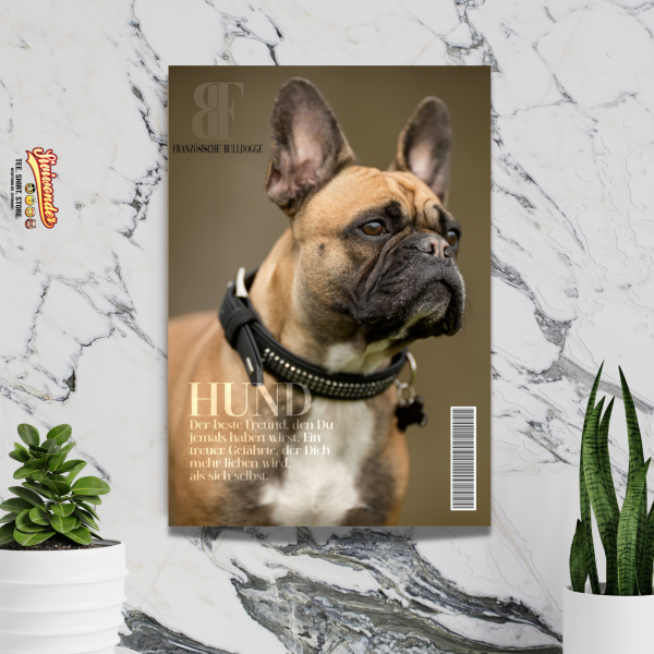 SchildMagazin_Frenchie2