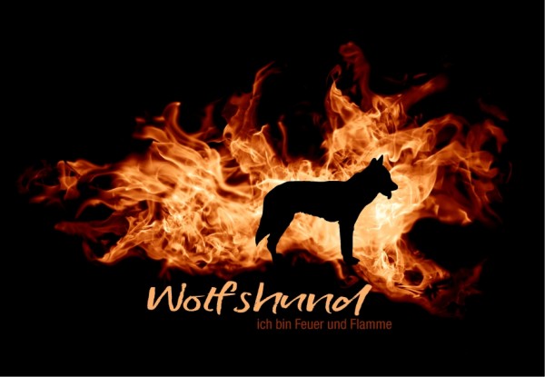 UTFlamme_WolfshundMo