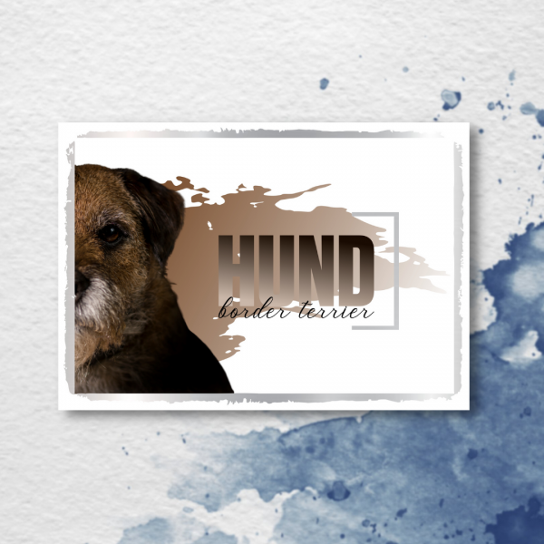 SeeleD_BorderTerrier3