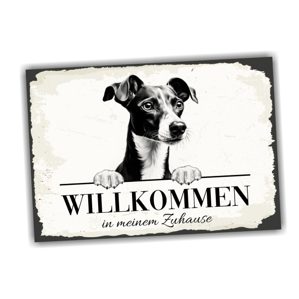 Hundeschild Willkommen Zuhause Italienisches Windspiel Schild