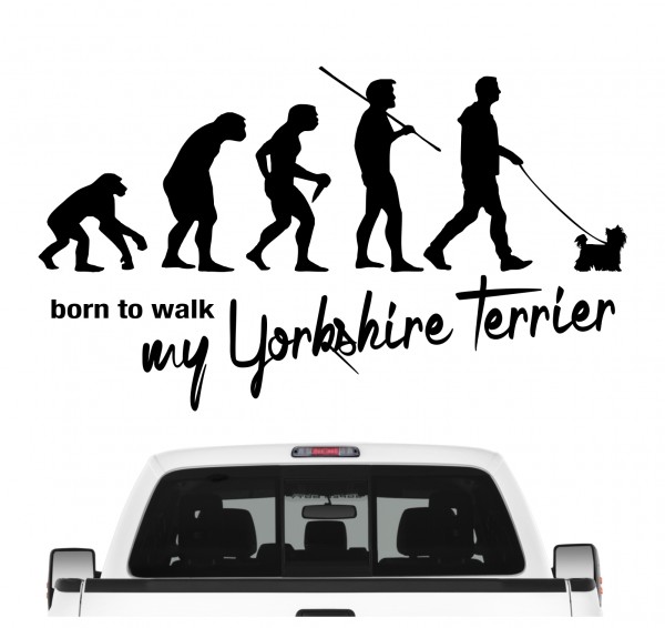 Yorkshire Terrier Yorkie Evolution Born to Walk Hunde Aufkleber Sticker Autoaufkleber Wandtattoo Tattoo