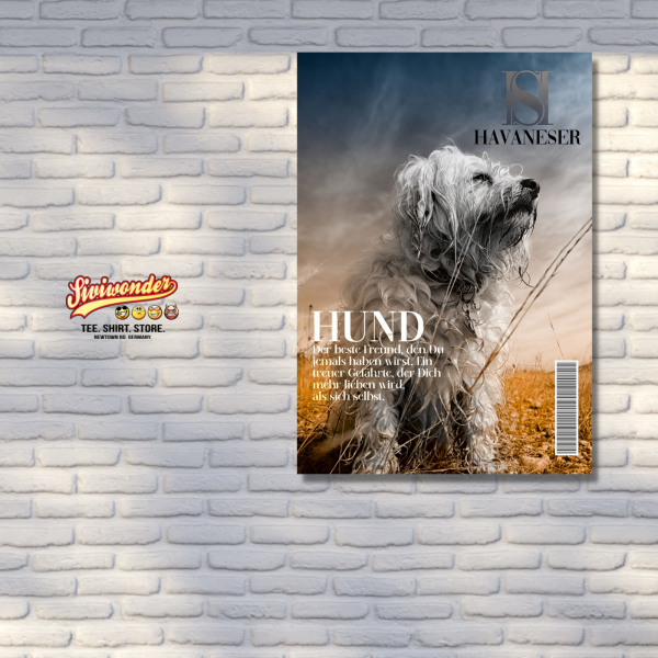 SchildMagazin_Havaneser3